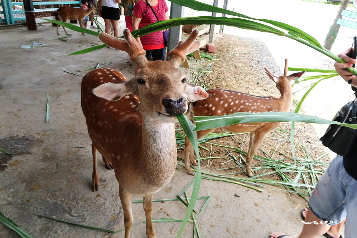 /tmp/phpn0augN /tmp/phpn0augN