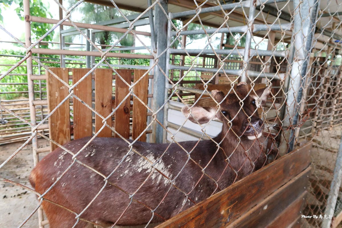 /tmp/phpBWUTh9 /tmp/phpBWUTh9