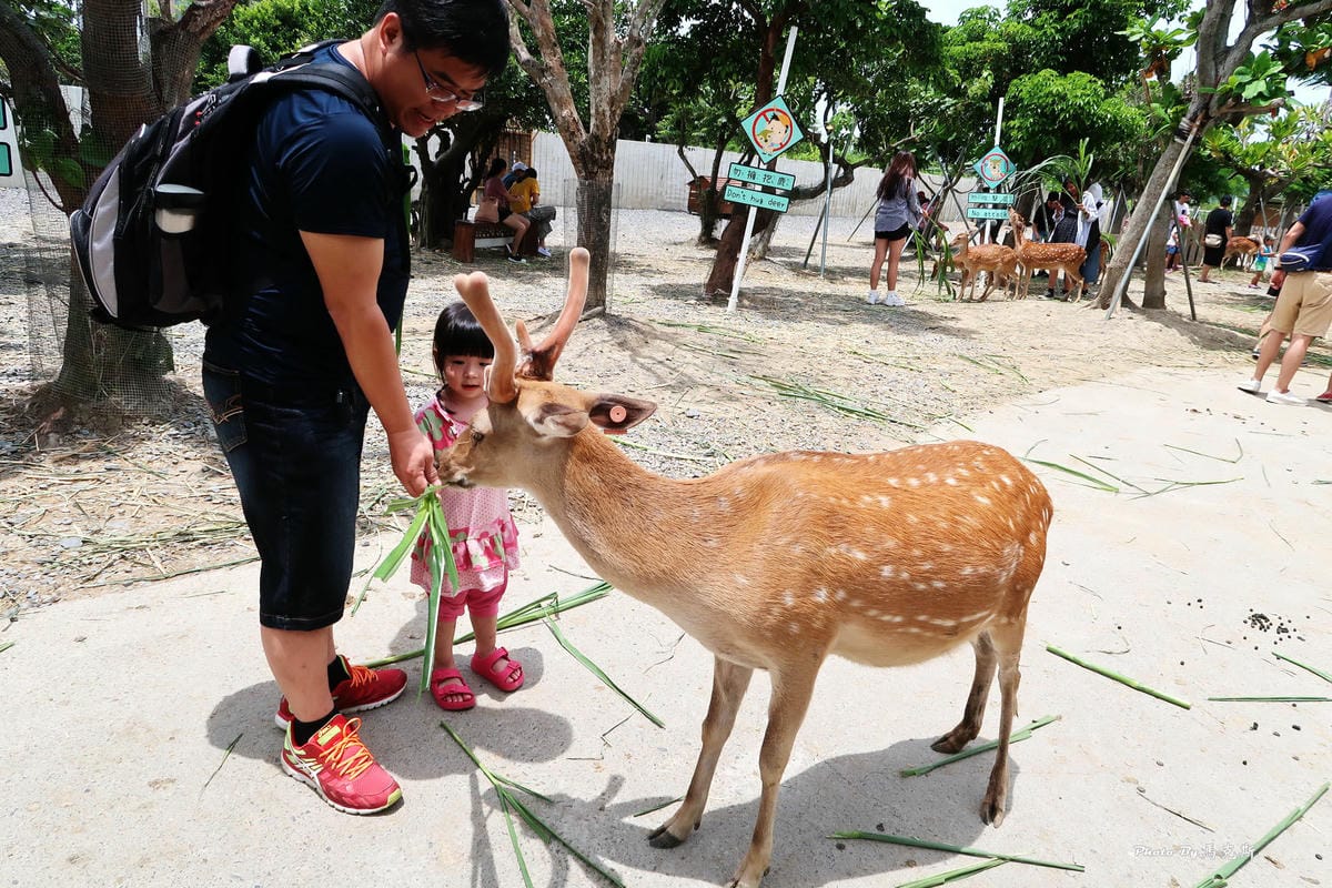 /tmp/phpMXJ0i4 /tmp/phpMXJ0i4