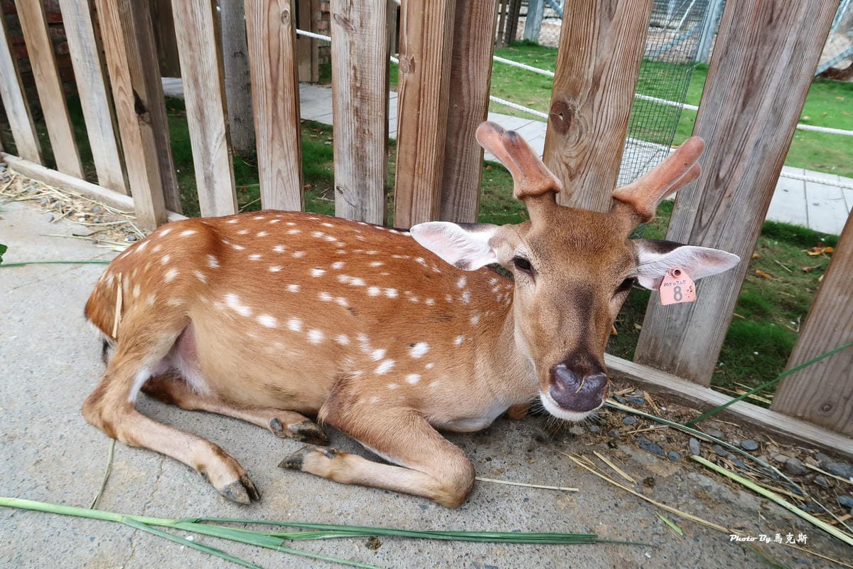 /tmp/phpBJghHn /tmp/phpBJghHn