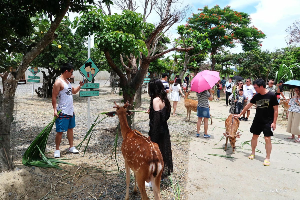 /tmp/phptkwiy8 /tmp/phptkwiy8