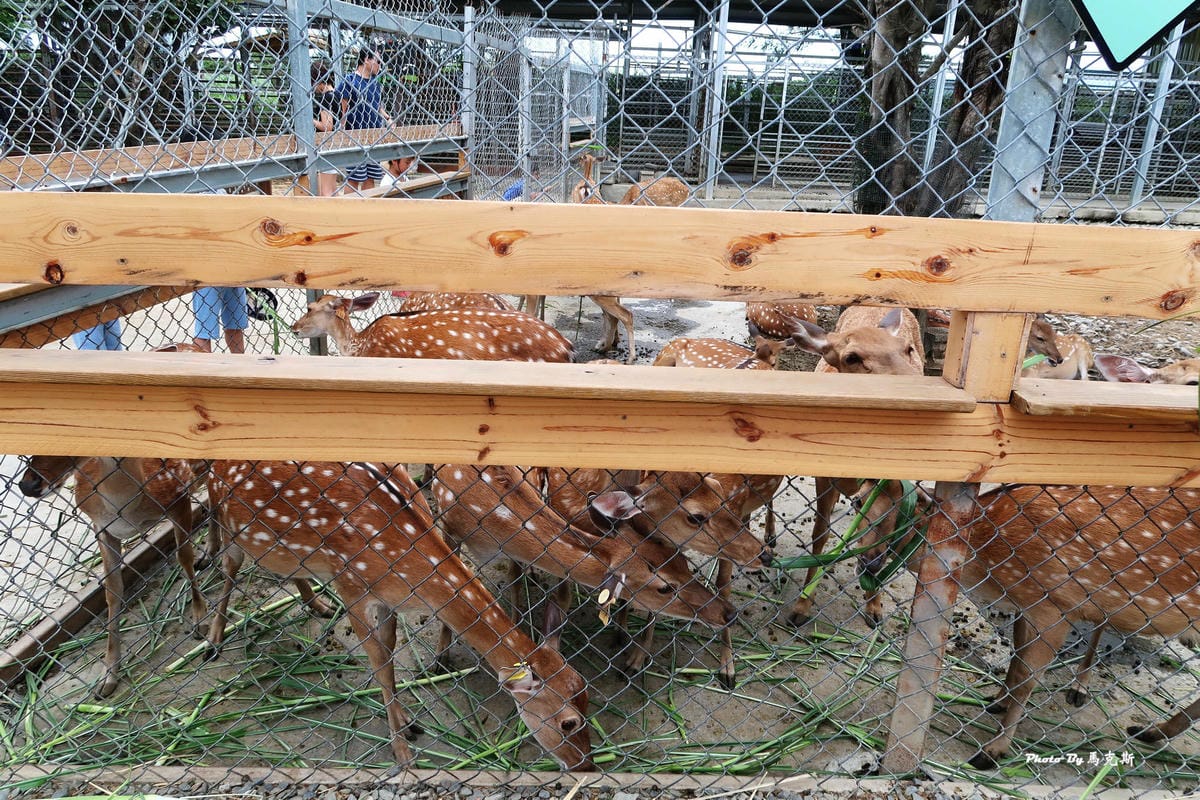 /tmp/php1DdmZj /tmp/php1DdmZj