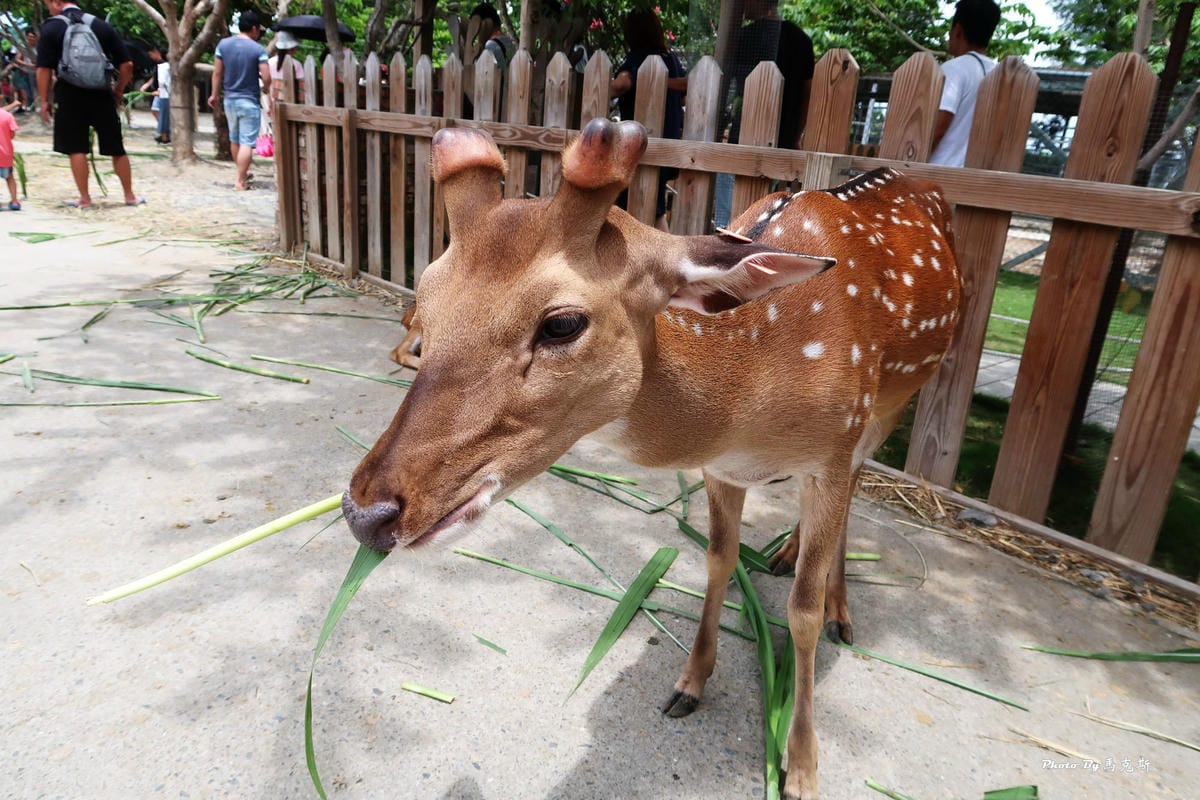 /tmp/phpgkzb5u /tmp/phpgkzb5u