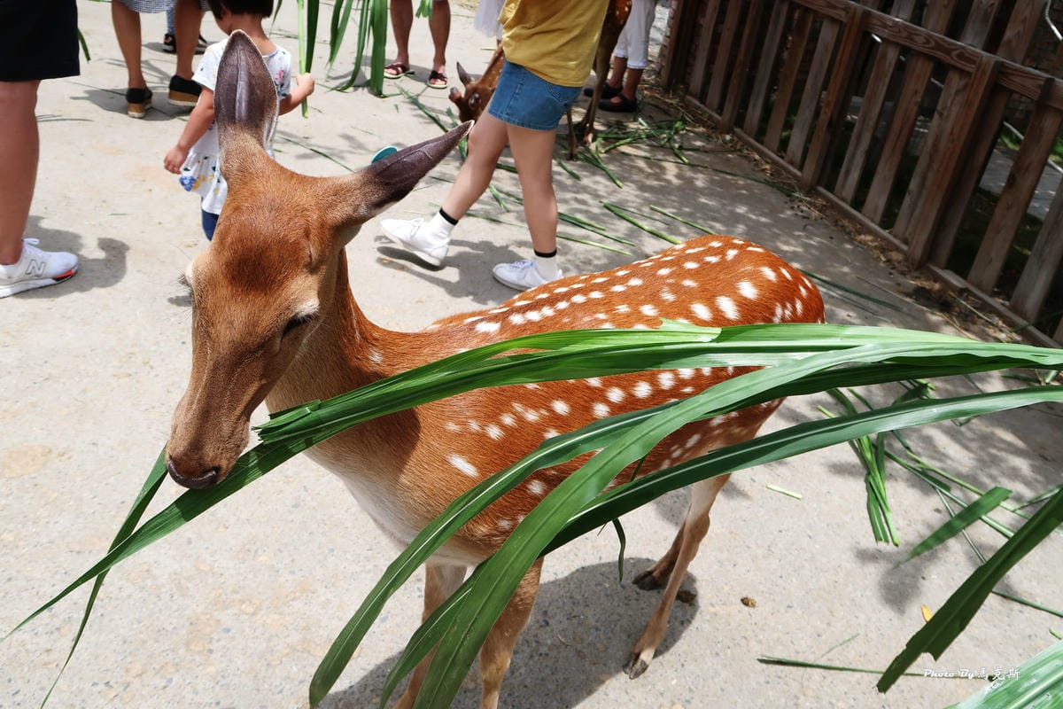 /tmp/phpXcx607 /tmp/phpXcx607