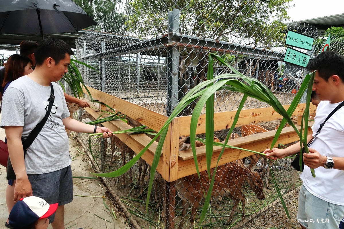 /tmp/phpTpz7xu /tmp/phpTpz7xu