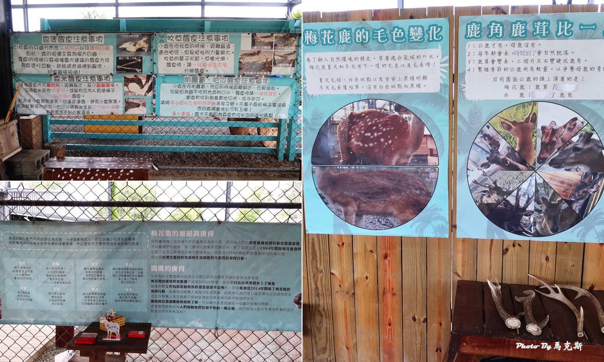 /tmp/phpKB7VDL /tmp/phpKB7VDL