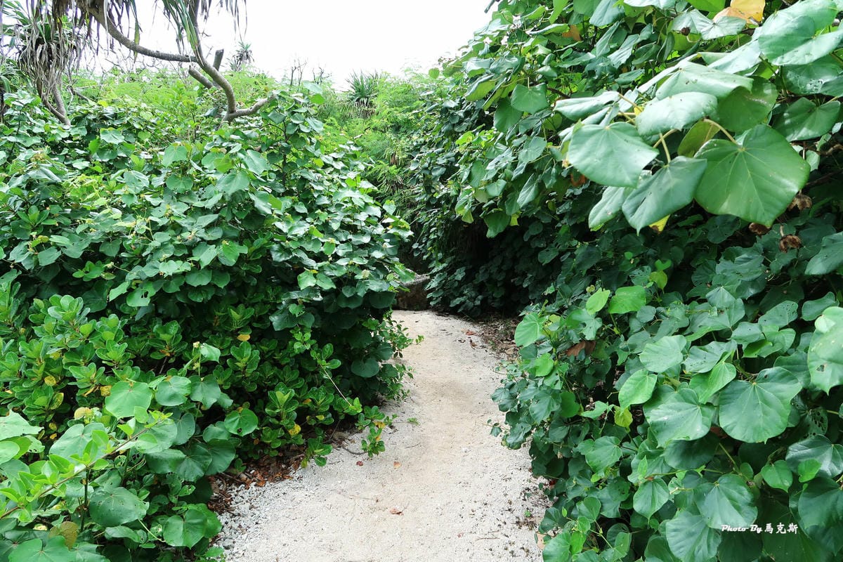 IMG_8340_調整大小.jpg IMG_8340_調整大小.jpg