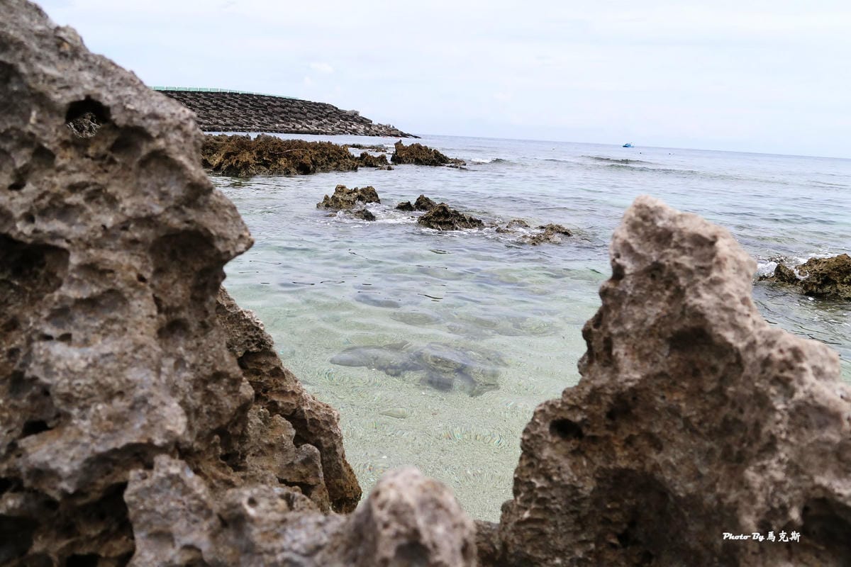 IMG_8380_調整大小.jpg IMG_8380_調整大小.jpg