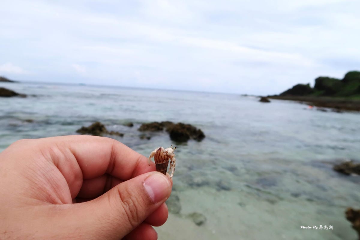 IMG_8365_調整大小.jpg IMG_8365_調整大小.jpg