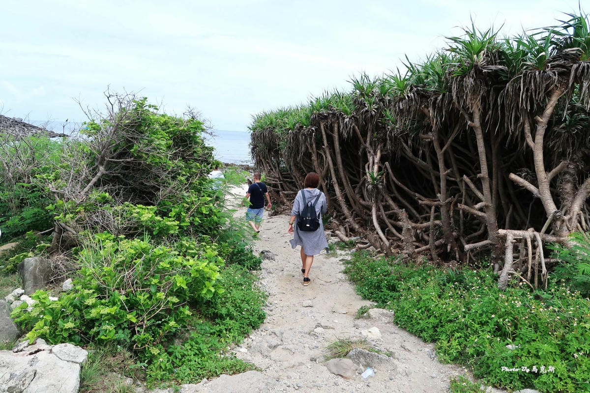 IMG_8325_調整大小.jpg IMG_8325_調整大小.jpg