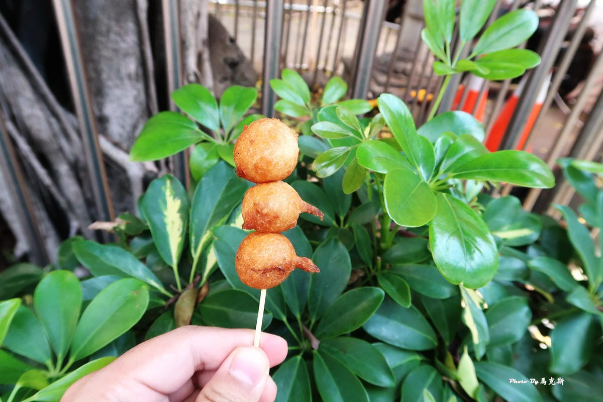 IMG_8737_調整大小.jpg IMG_8737_調整大小.jpg