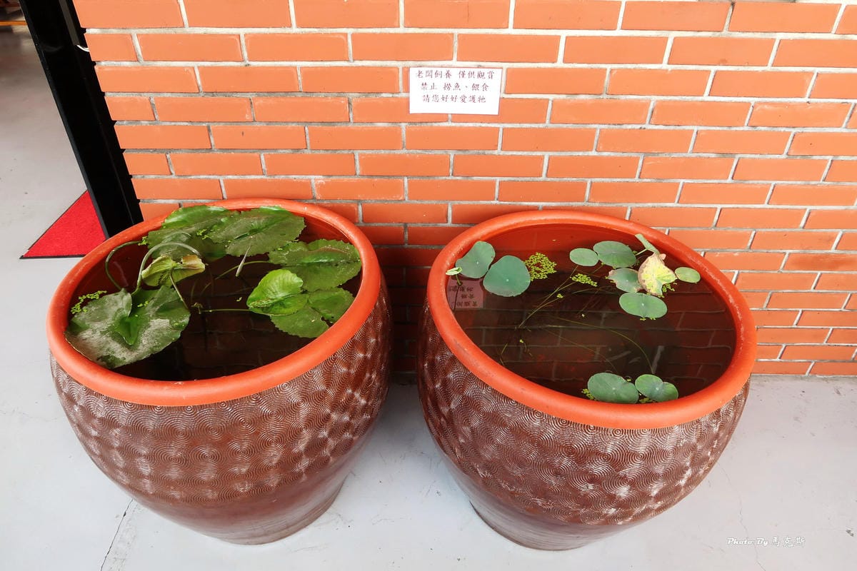 IMG_3317_調整大小.jpg IMG_3317_調整大小.jpg