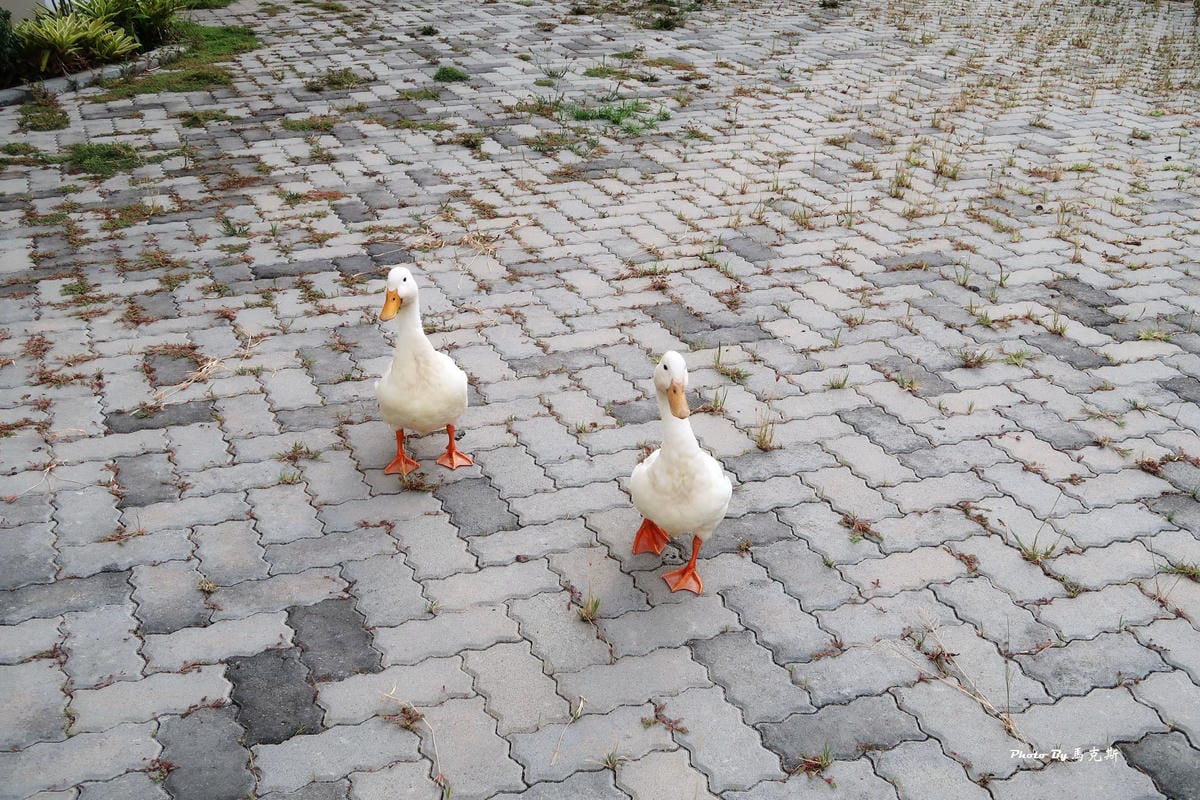 IMG_3123_調整大小.jpg IMG_3123_調整大小.jpg