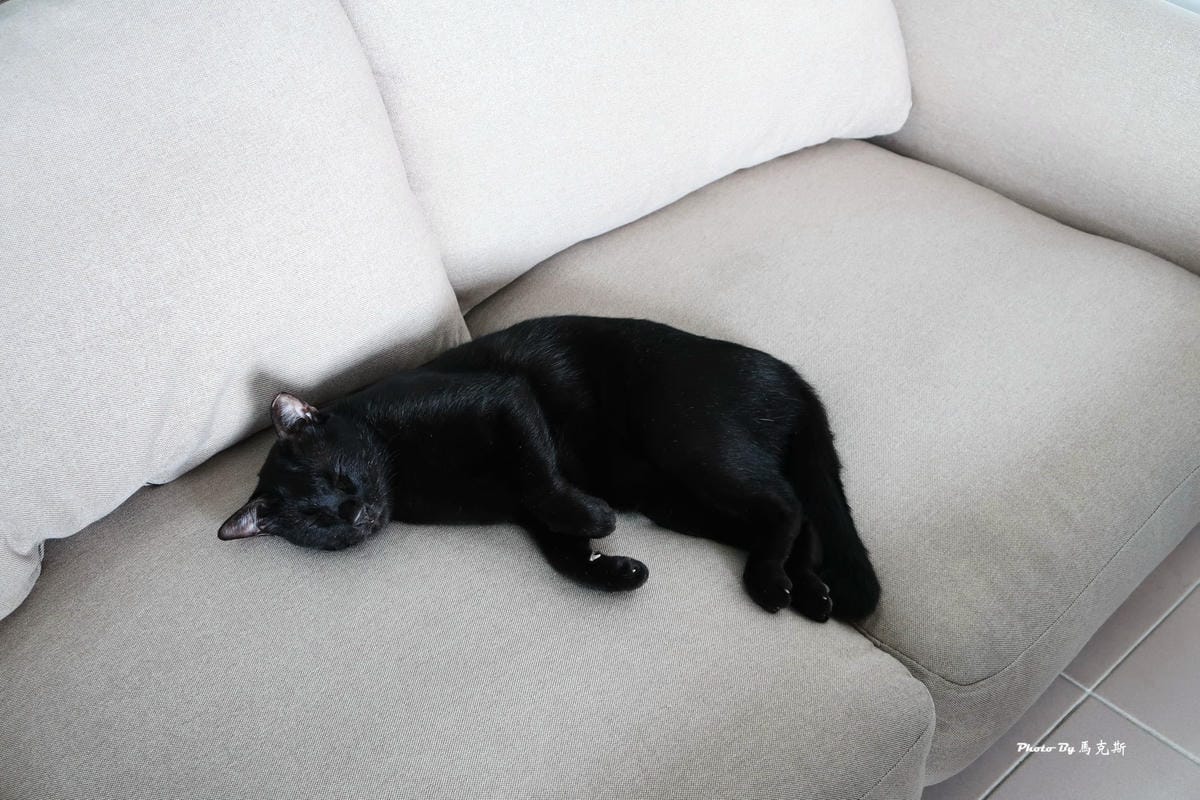 IMG_7145_調整大小.jpg IMG_7145_調整大小.jpg