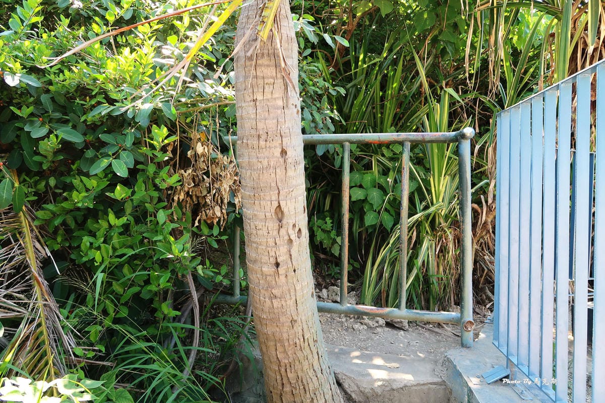 IMG_2030_調整大小.jpg IMG_2030_調整大小.jpg