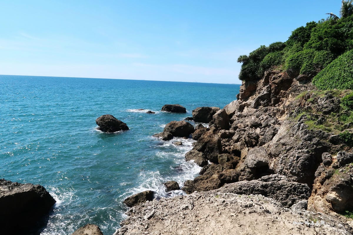 IMG_2020_調整大小.jpg IMG_2020_調整大小.jpg