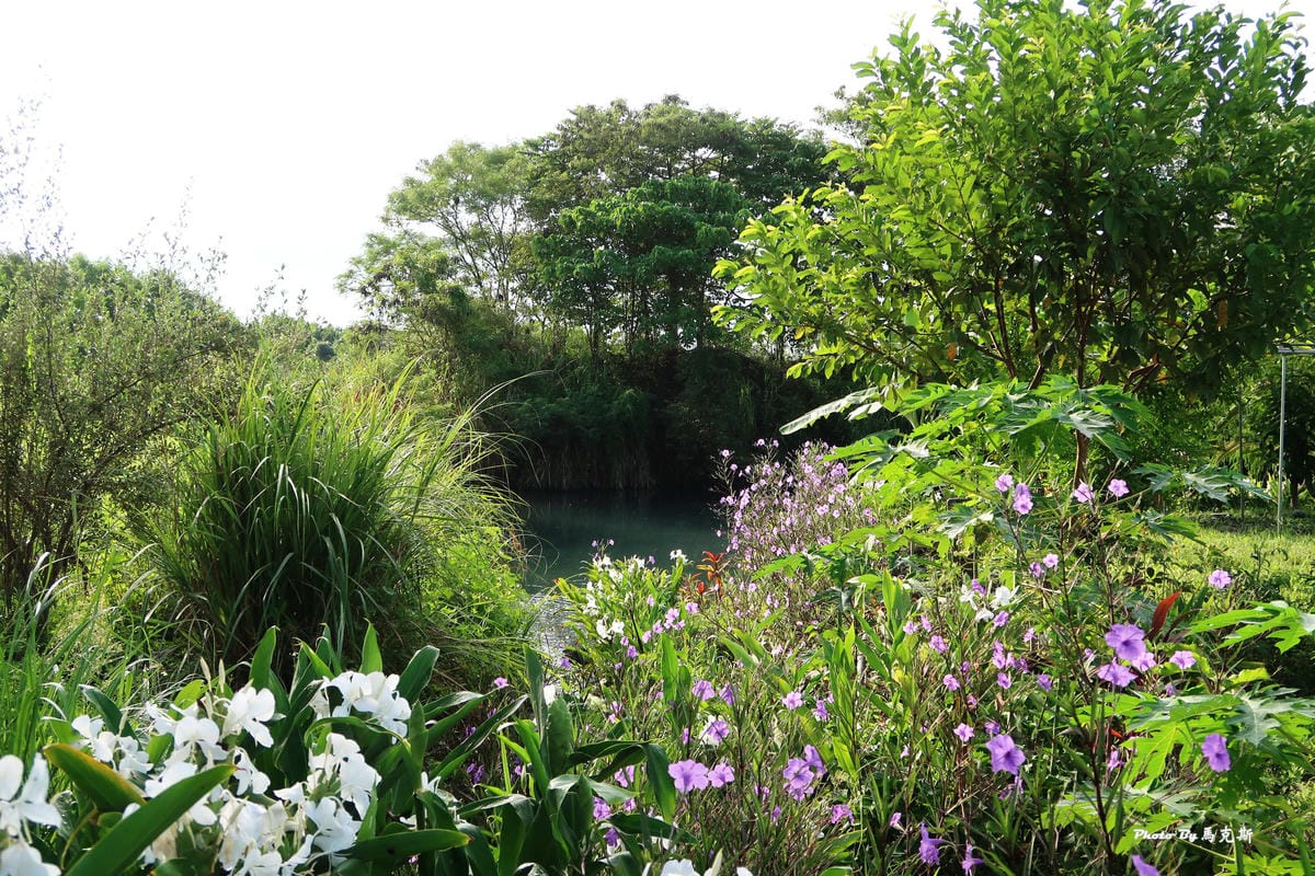 IMG_6438_調整大小.jpg IMG_6438_調整大小.jpg