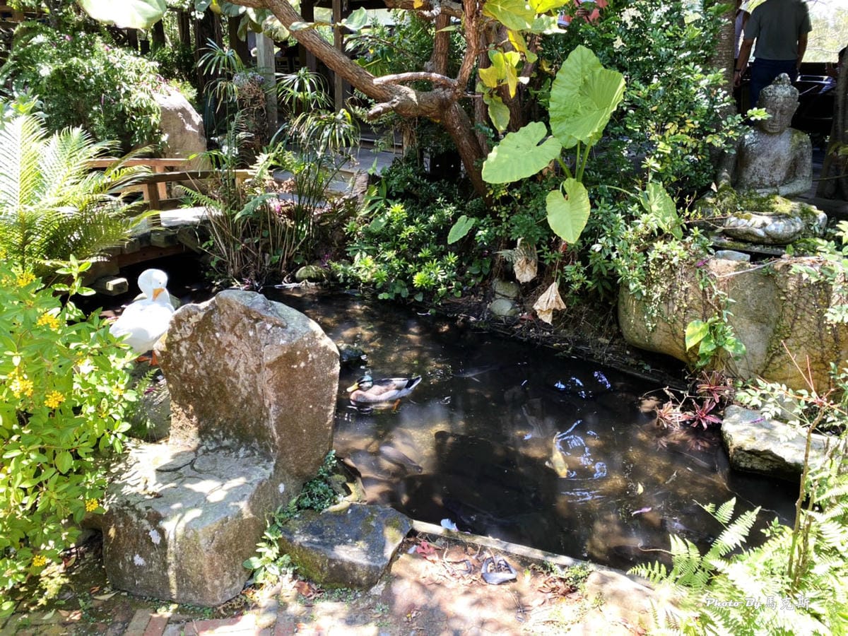 IMG_5035_調整大小 (2).jpg IMG_5035_調整大小 (2).jpg