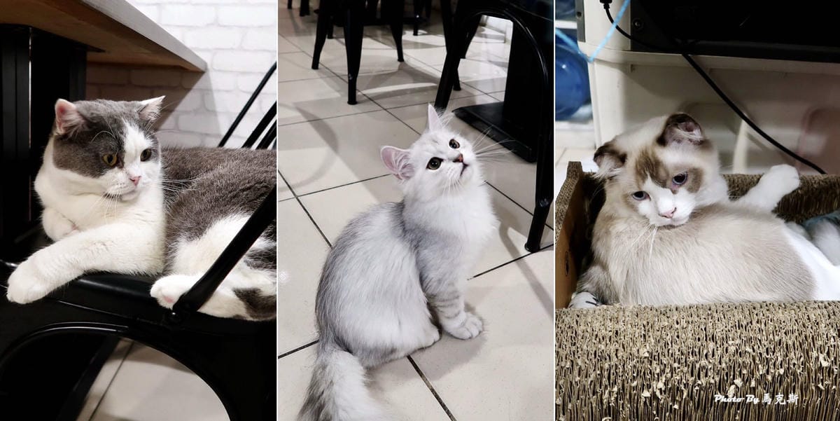 IMG_0752_調整大小.jpg IMG_0752_調整大小.jpg