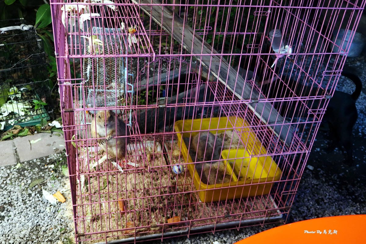 IMG_9723_調整大小.jpg IMG_9723_調整大小.jpg