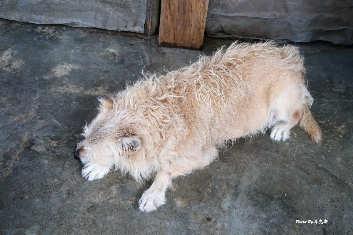 IMG_1268_調整大小.jpg IMG_1268_調整大小.jpg