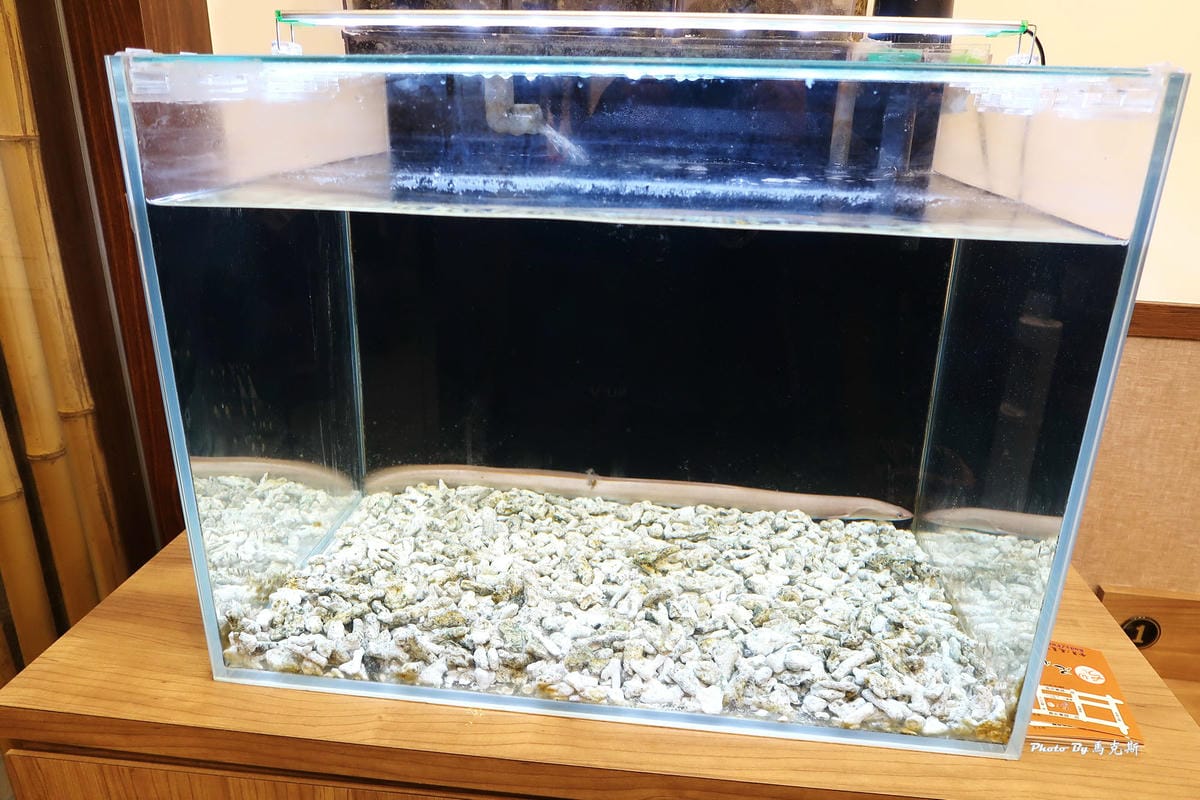 IMG_3823_調整大小.jpg IMG_3823_調整大小.jpg