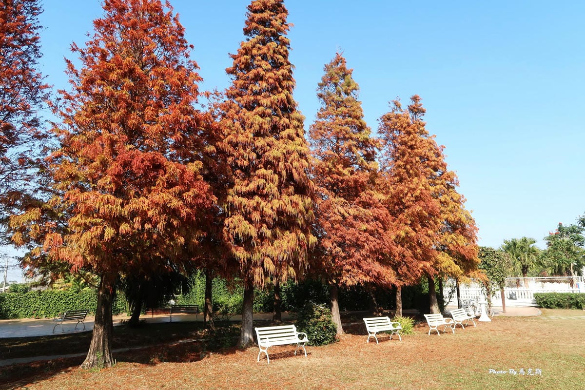 IMG_6481_調整大小 (2).jpg IMG_6481_調整大小 (2).jpg