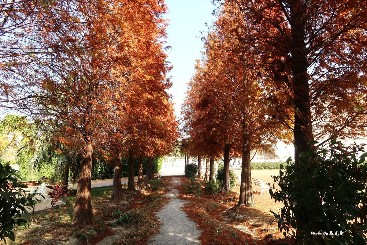 IMG_6485_調整大小.jpg IMG_6485_調整大小.jpg