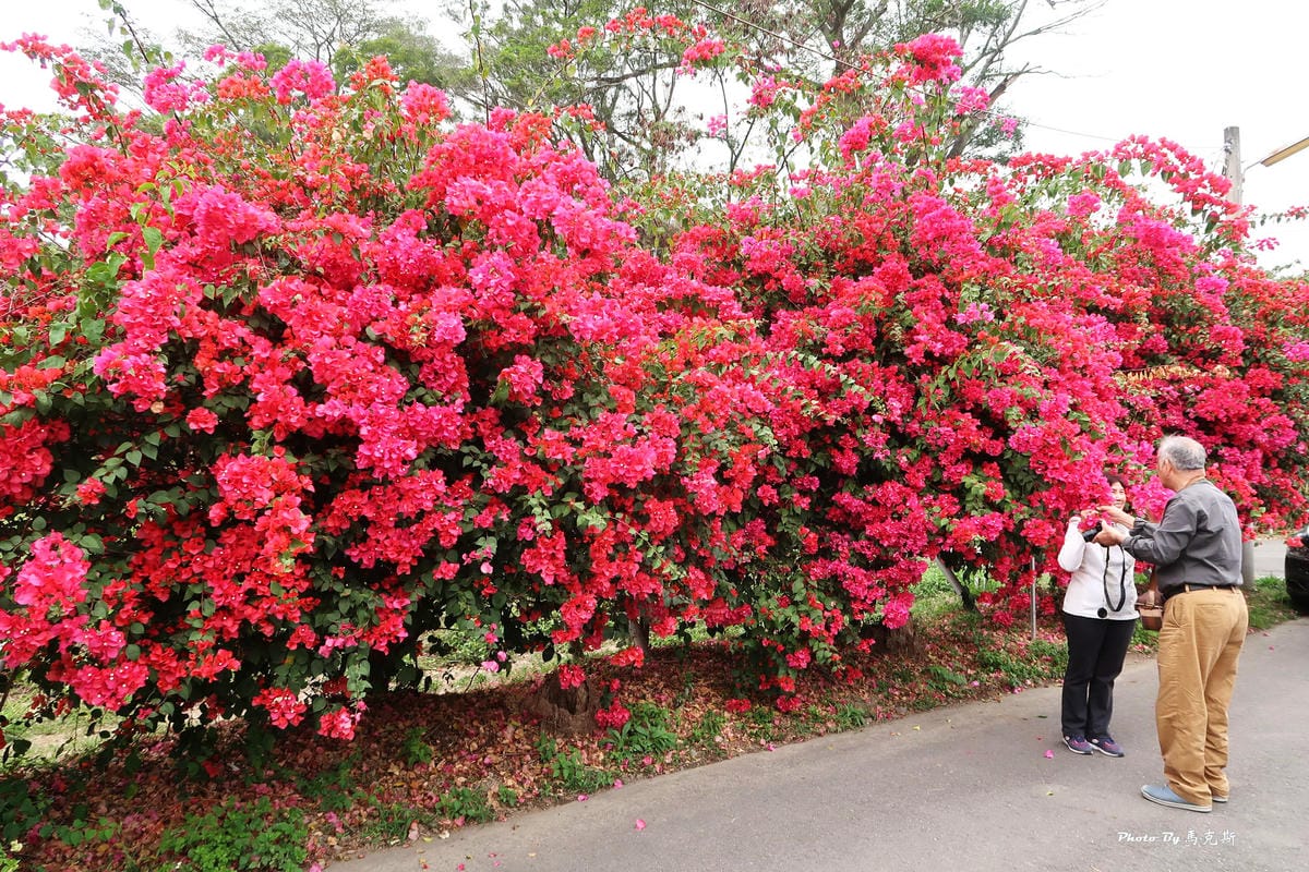 IMG_9125_調整大小.jpg IMG_9125_調整大小.jpg