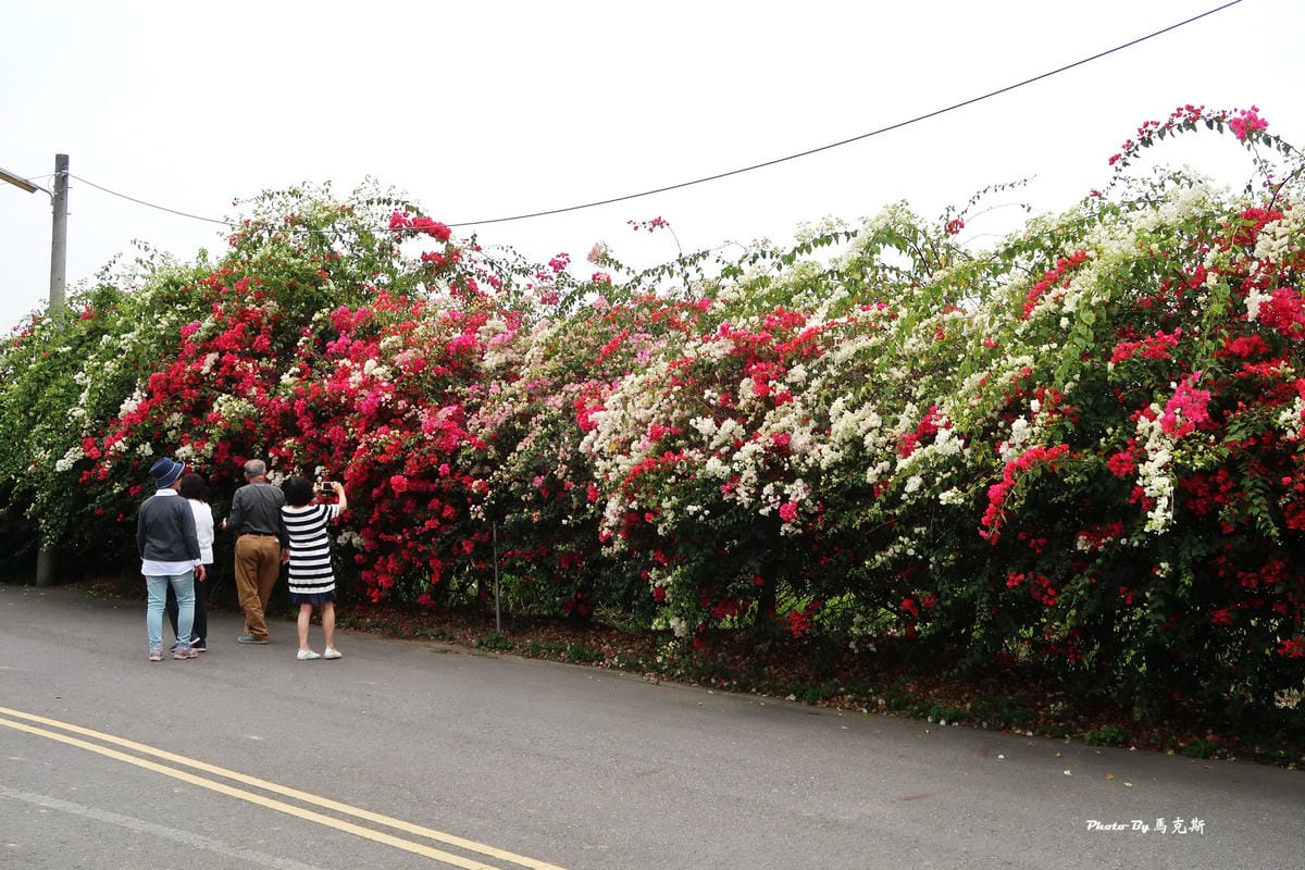 IMG_9130_調整大小.jpg IMG_9130_調整大小.jpg