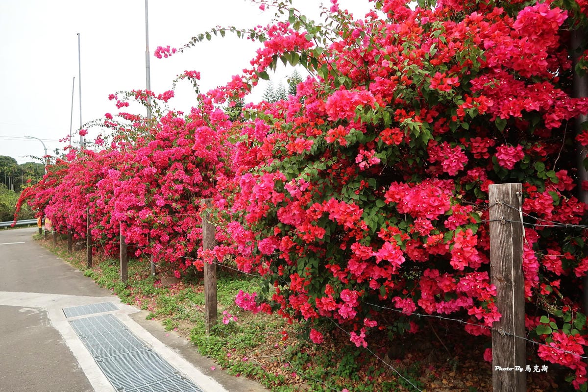 IMG_9140_調整大小.jpg IMG_9140_調整大小.jpg