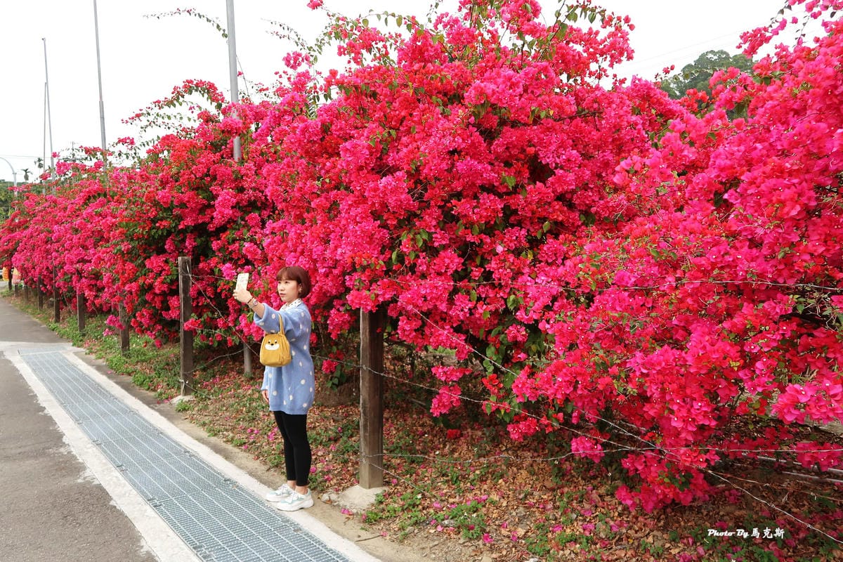 IMG_9143_調整大小.jpg IMG_9143_調整大小.jpg