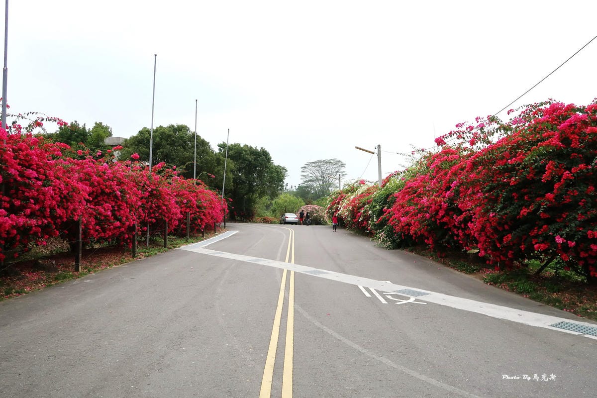 IMG_9115_調整大小.jpg IMG_9115_調整大小.jpg