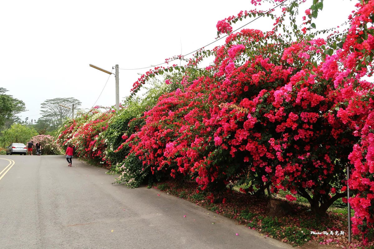 IMG_9101_調整大小.jpg IMG_9101_調整大小.jpg