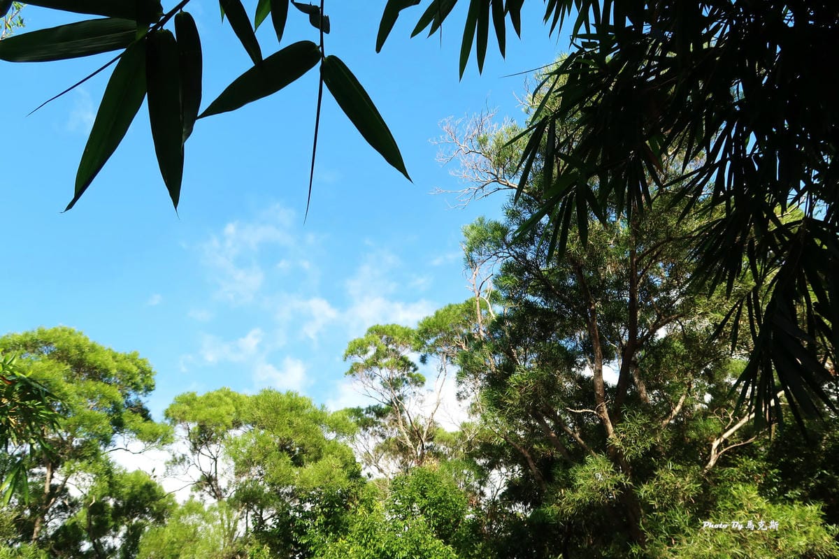 IMG_1378_調整大小.jpg IMG_1378_調整大小.jpg