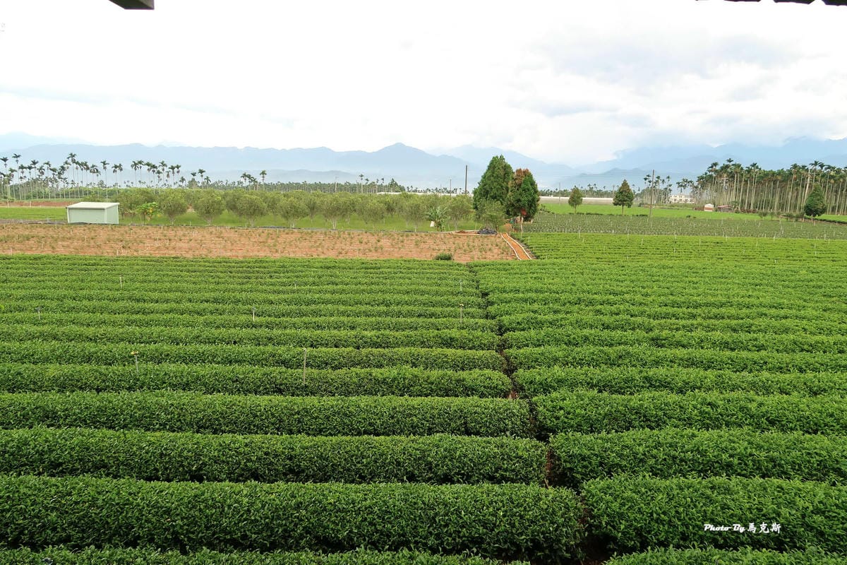 IMG_7315_調整大小.jpg IMG_7315_調整大小.jpg