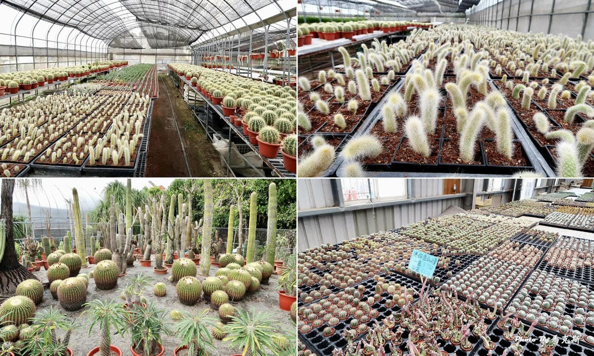 IMG_2205_調整大小.jpg IMG_2205_調整大小.jpg