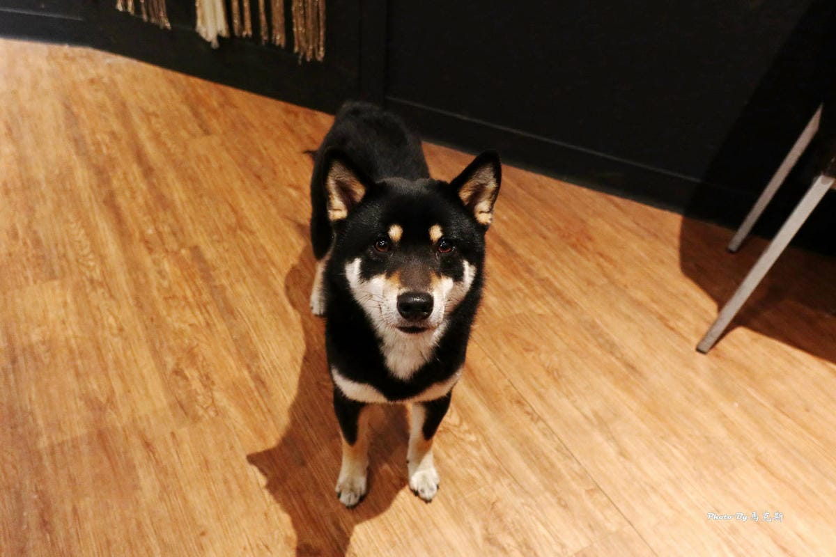 IMG_6565_調整大小 (2).jpg IMG_6565_調整大小 (2).jpg