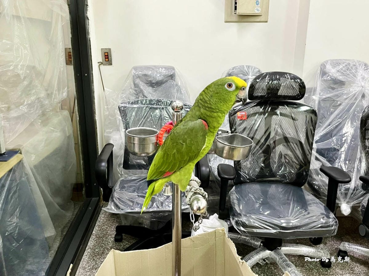 IMG_7499_調整大小.jpg IMG_7499_調整大小.jpg