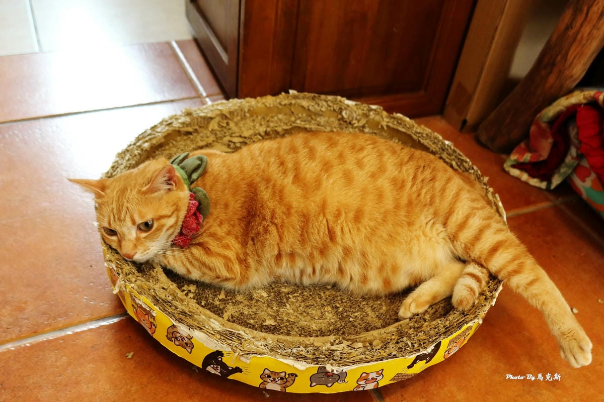 IMG_8440_調整大小.jpg IMG_8440_調整大小.jpg