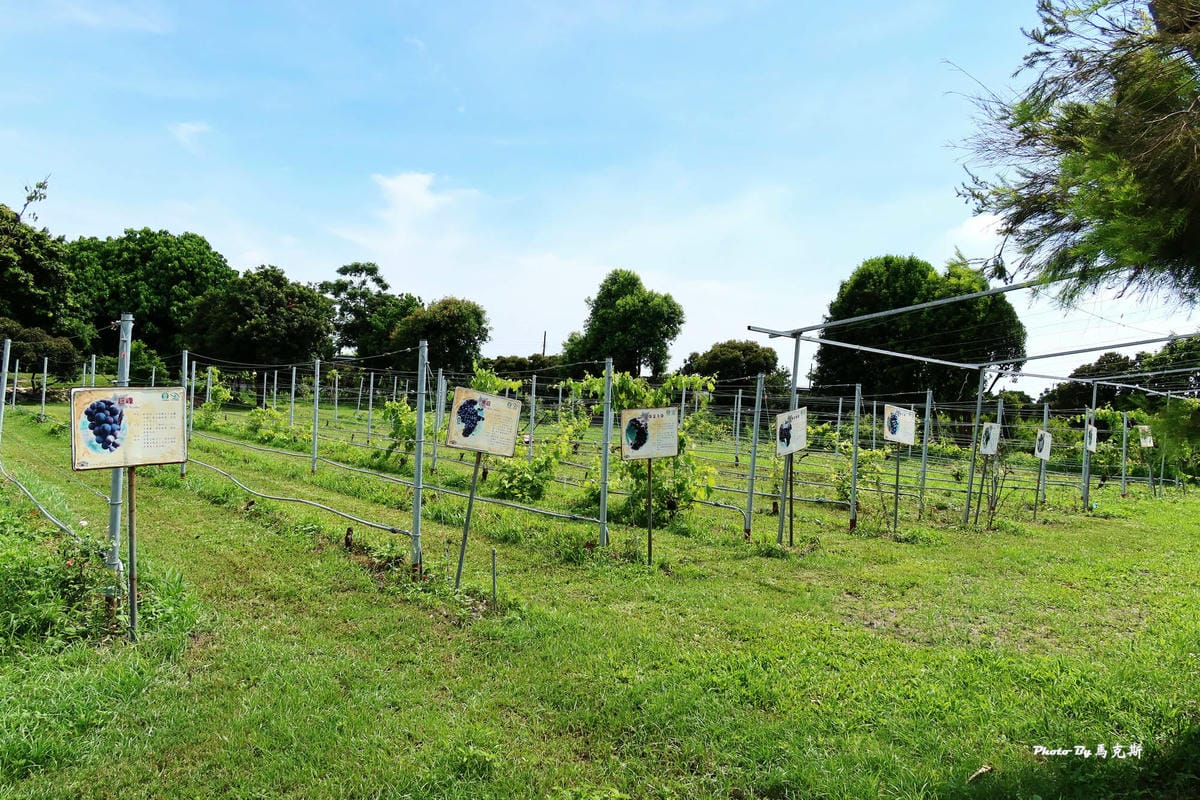 IMG_9578_調整大小.jpg IMG_9578_調整大小.jpg