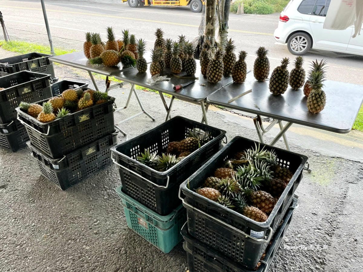 IMG_8113_調整大小 (2).jpg IMG_8113_調整大小 (2).jpg