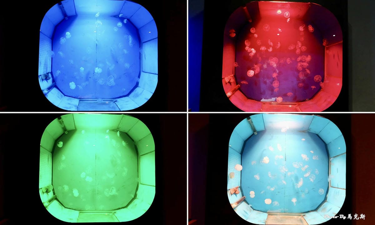 IMG_9527_調整大小.jpg IMG_9527_調整大小.jpg