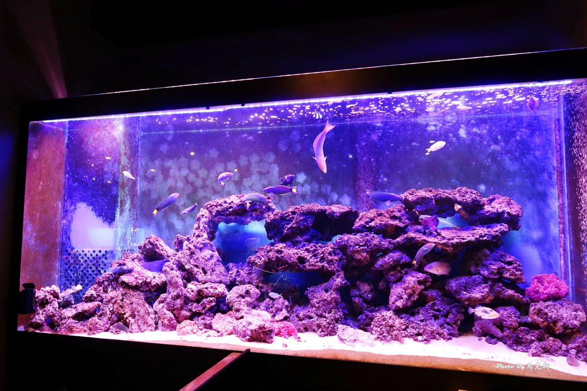 IMG_9521_調整大小.jpg IMG_9521_調整大小.jpg