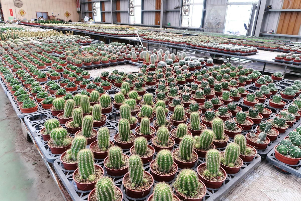 IMG_2524_調整大小.jpg IMG_2524_調整大小.jpg