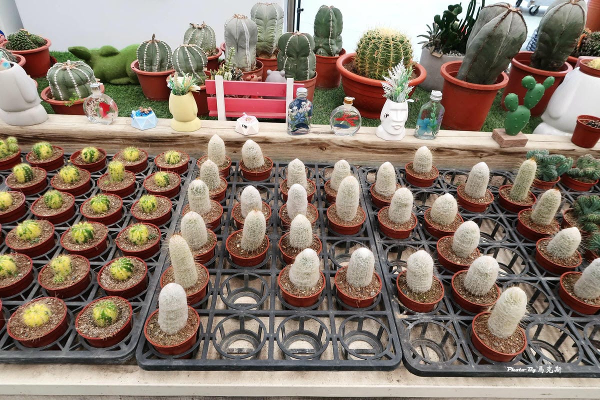 IMG_2530_調整大小.jpg IMG_2530_調整大小.jpg