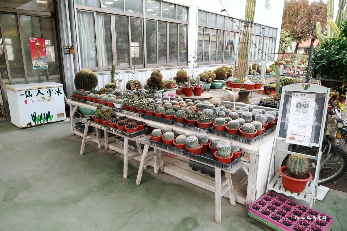 IMG_2518_調整大小.jpg IMG_2518_調整大小.jpg