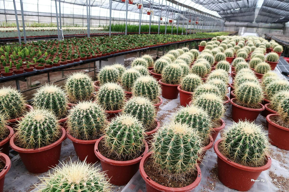 IMG_2567_調整大小.jpg IMG_2567_調整大小.jpg