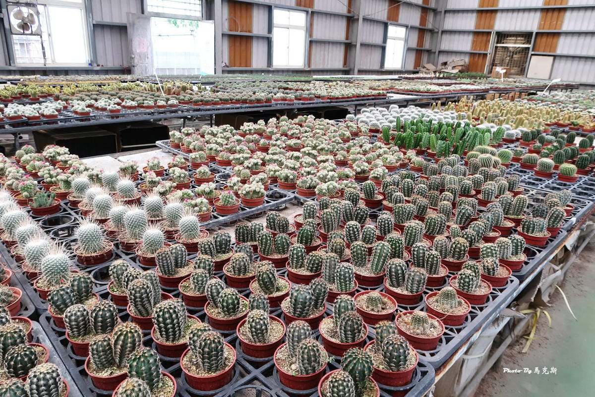 IMG_2527_調整大小.jpg IMG_2527_調整大小.jpg