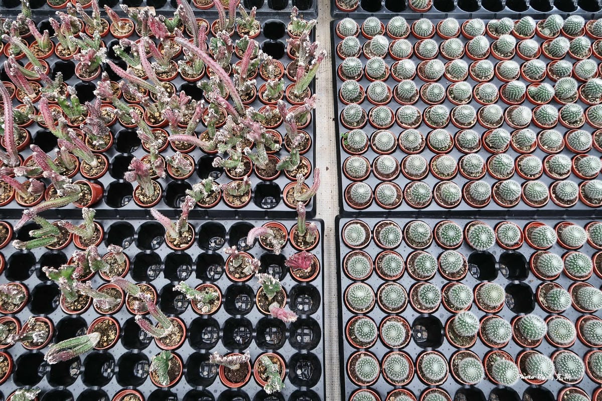 IMG_2545_調整大小.jpg IMG_2545_調整大小.jpg